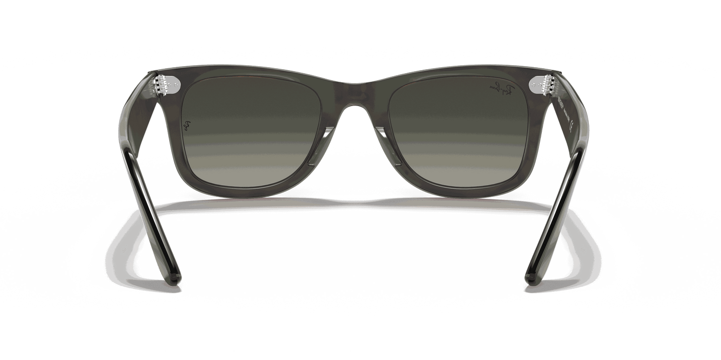 [Grey Gradient Lenses, Polished Grey On Havana Frame]