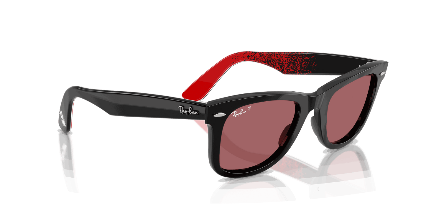 [Polar Purple Lenses, Polished Black Frame]