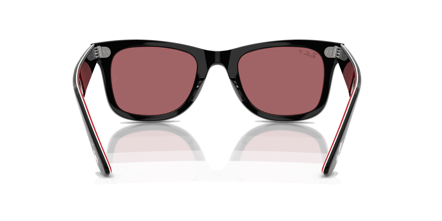 [Polar Purple Lenses, Polished Black Frame]