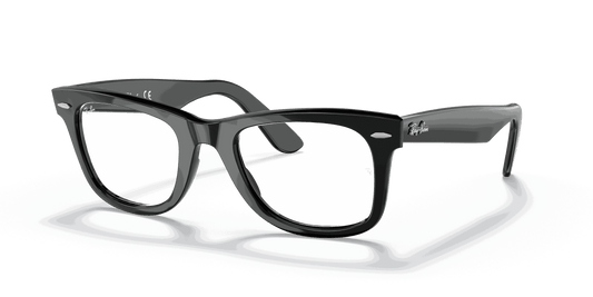 [Clear Lenses, Polished Black Frame]