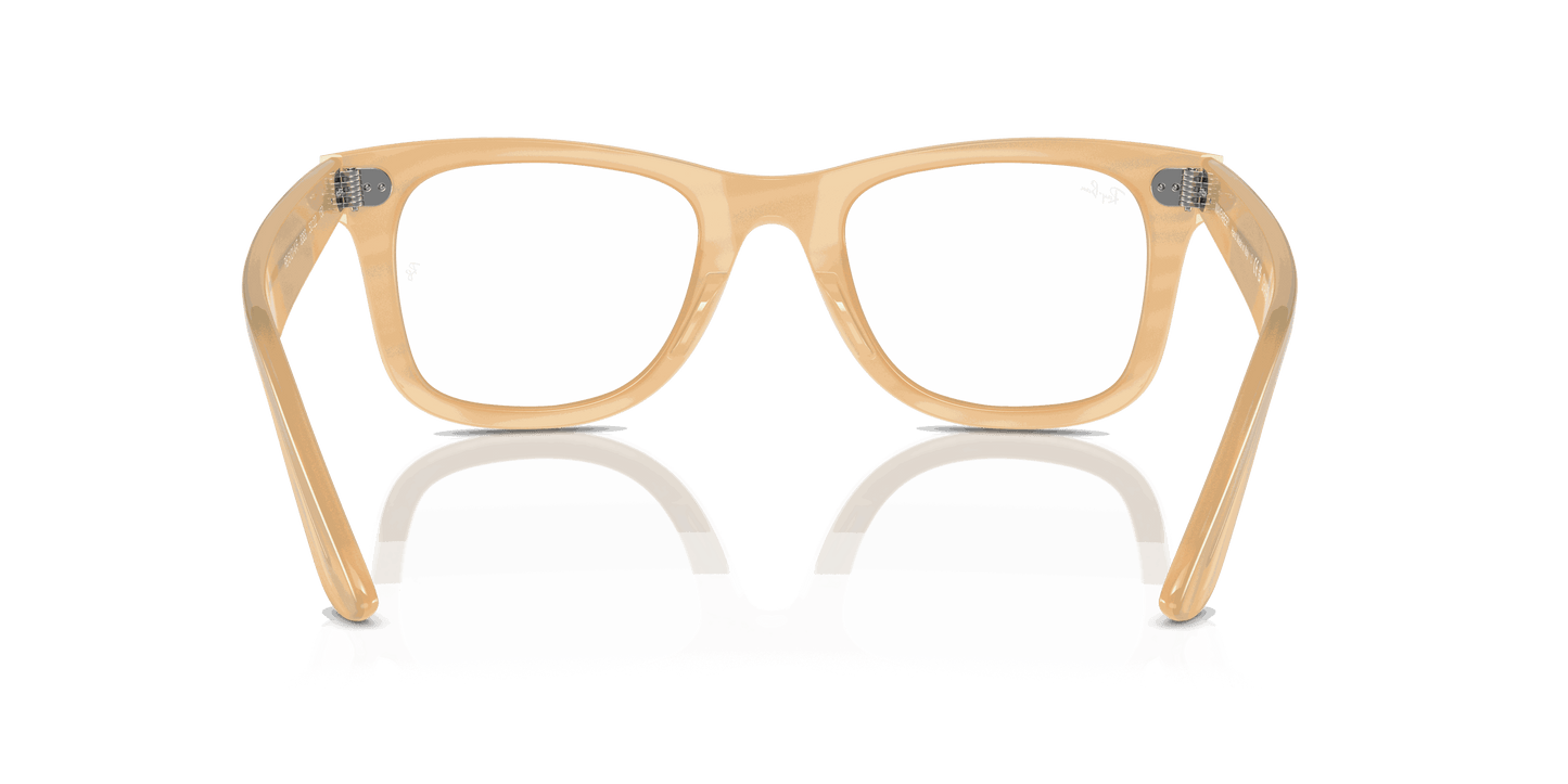[Clear Lenses, Polished Photo Striped Brown Frame]
