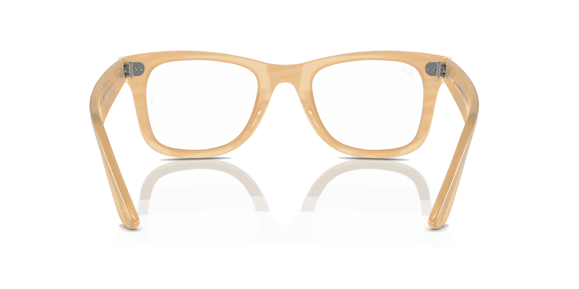 [Clear Lenses, Polished Photo Striped Brown Frame]