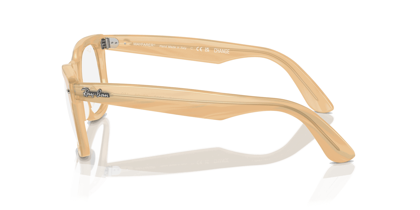 [Clear Lenses, Polished Photo Striped Brown Frame]