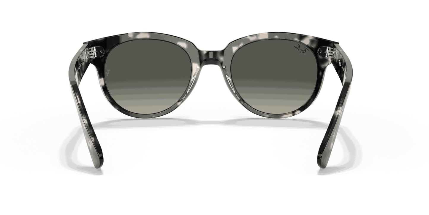 [Grey Gradient Lenses, Polished Grey Havana Frame]