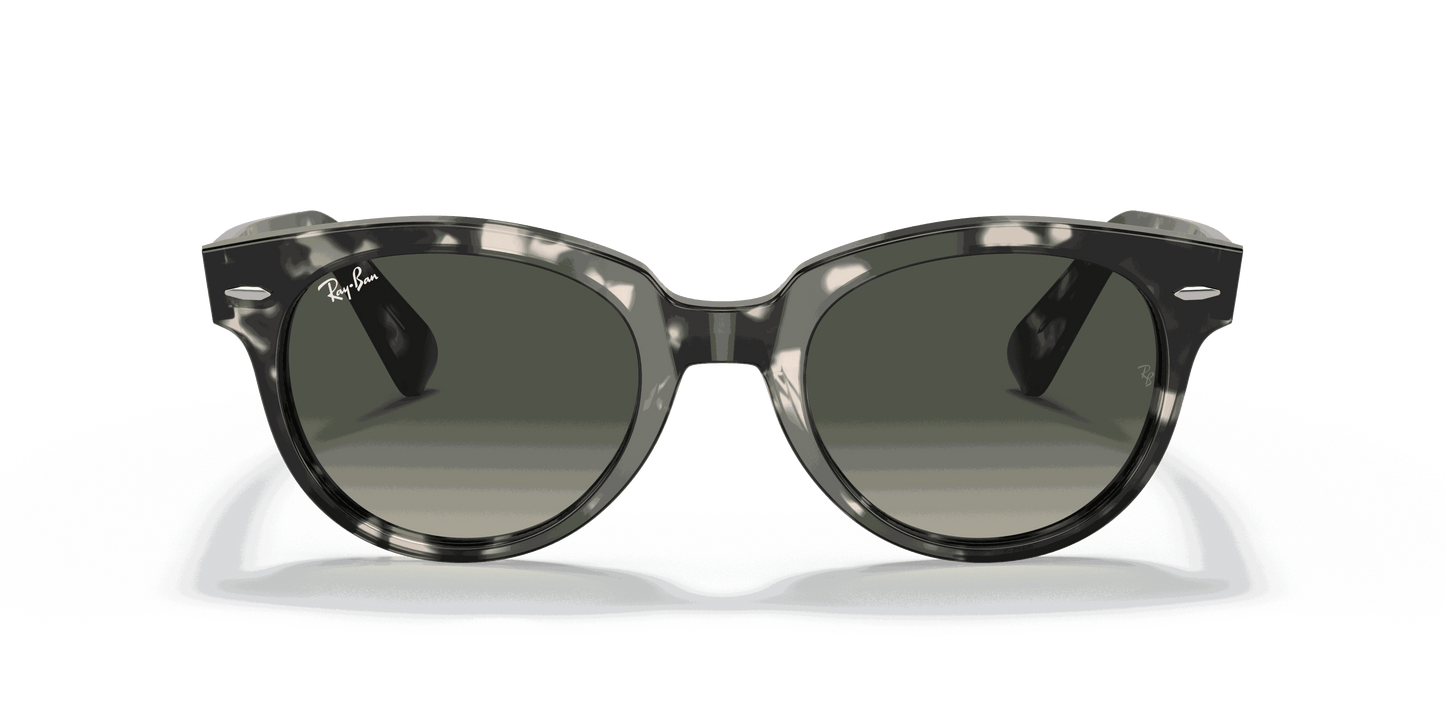 [Grey Gradient Lenses, Polished Grey Havana Frame]