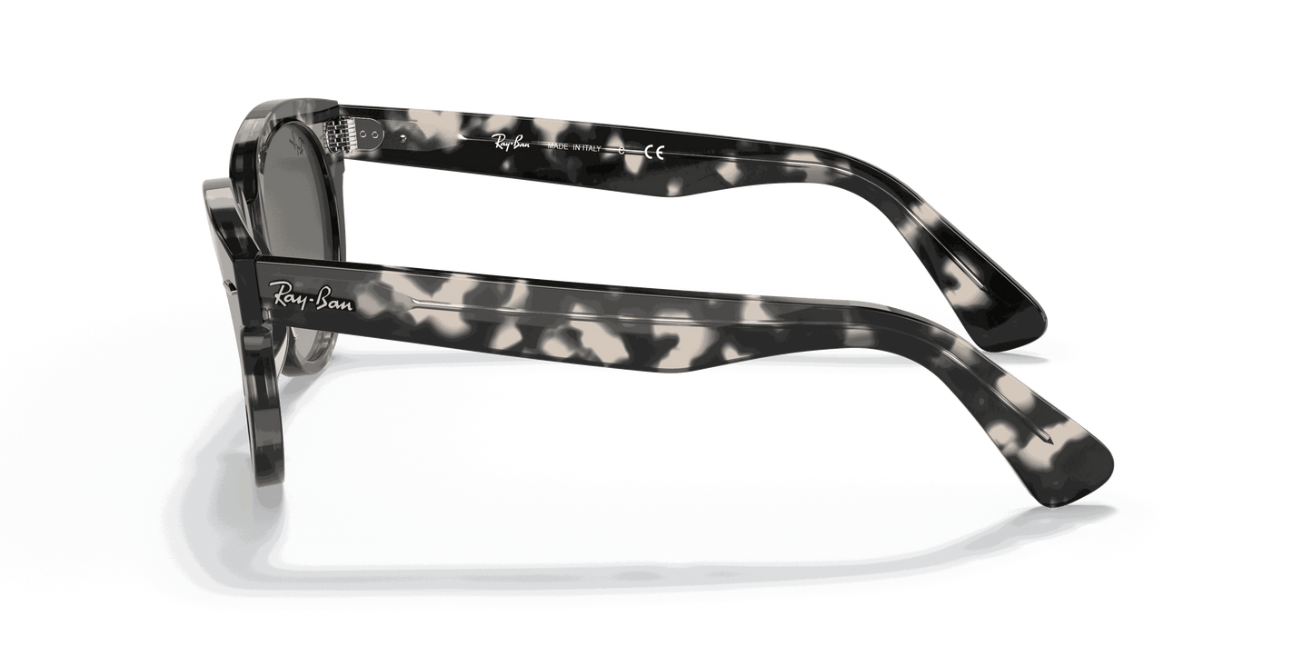 [Grey Gradient Lenses, Polished Grey Havana Frame]