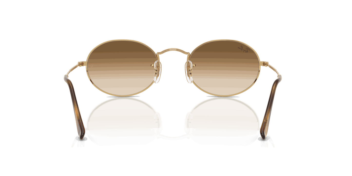 [Clear Gradient Brown Lenses, Polished Arista Gold Frame]