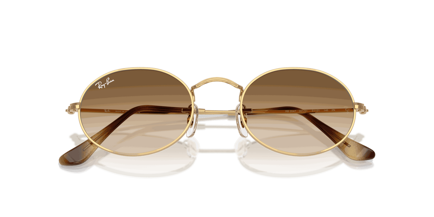 [Clear Gradient Brown Lenses, Polished Arista Gold Frame]