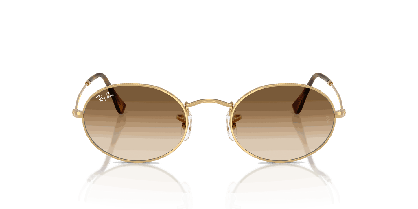 [Clear Gradient Brown Lenses, Polished Arista Gold Frame]