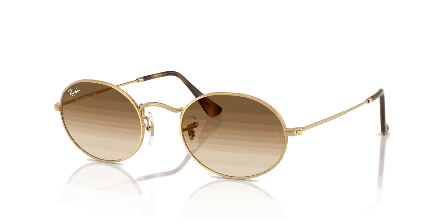 [Clear Gradient Brown Lenses, Polished Arista Gold Frame]