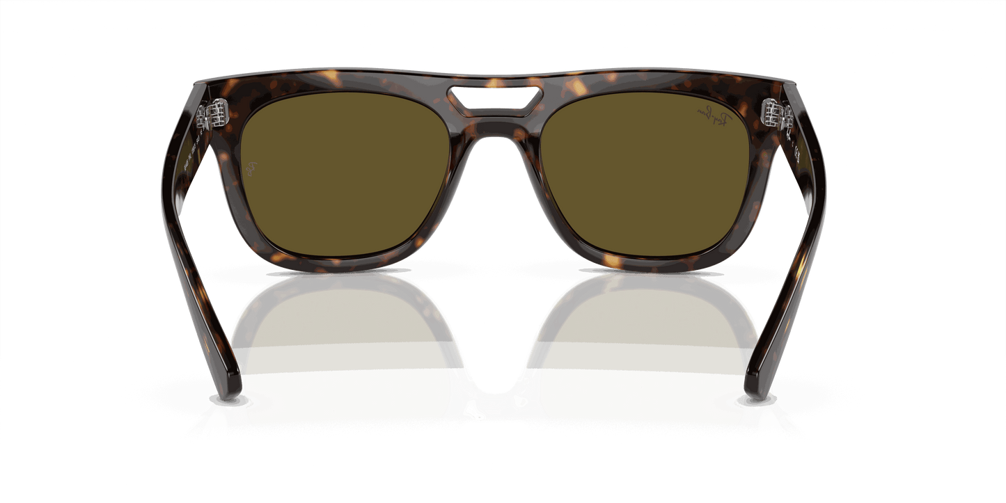[Dark Brown Lenses, Polished Havana Frame]