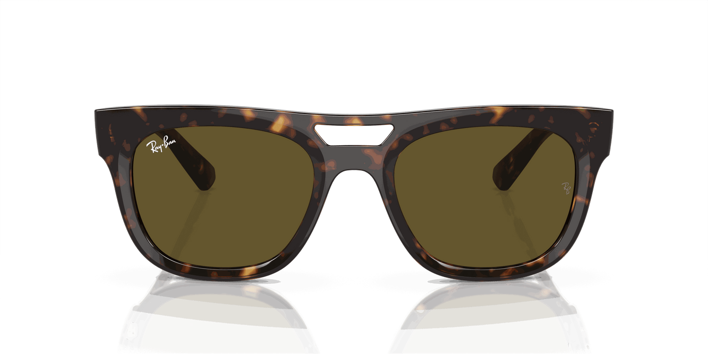 [Dark Brown Lenses, Polished Havana Frame]
