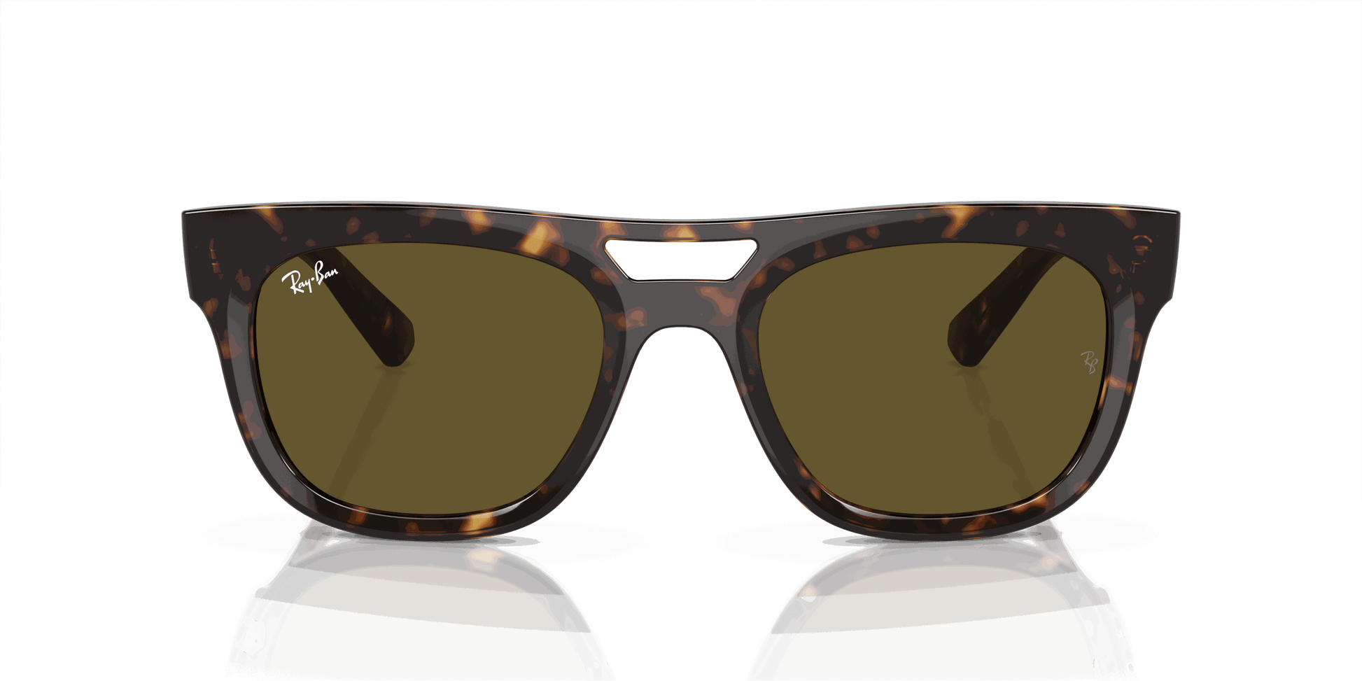 [Dark Brown Lenses, Polished Havana Frame]