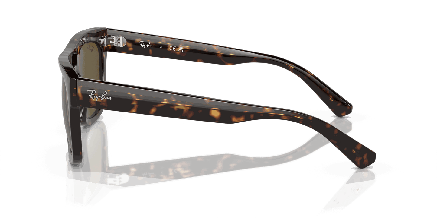 [Dark Brown Lenses, Polished Havana Frame]