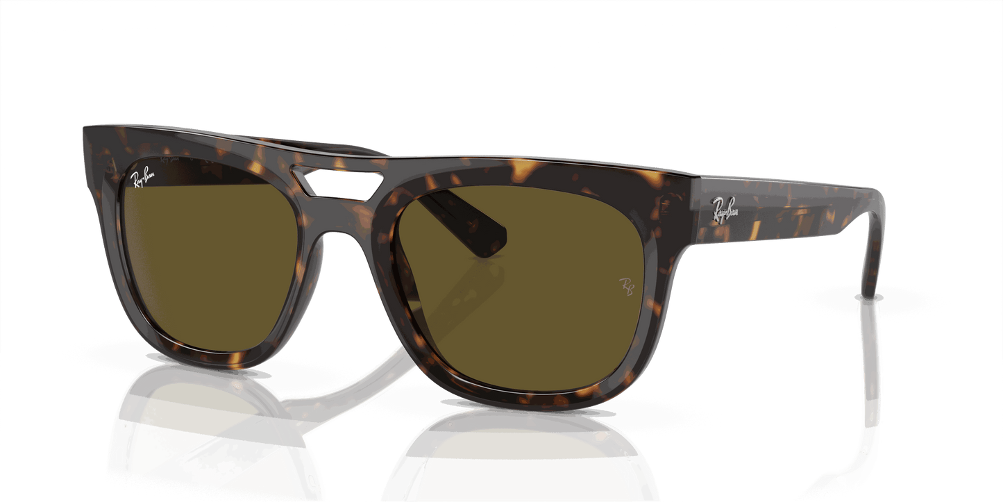 [Dark Brown Lenses, Polished Havana Frame]