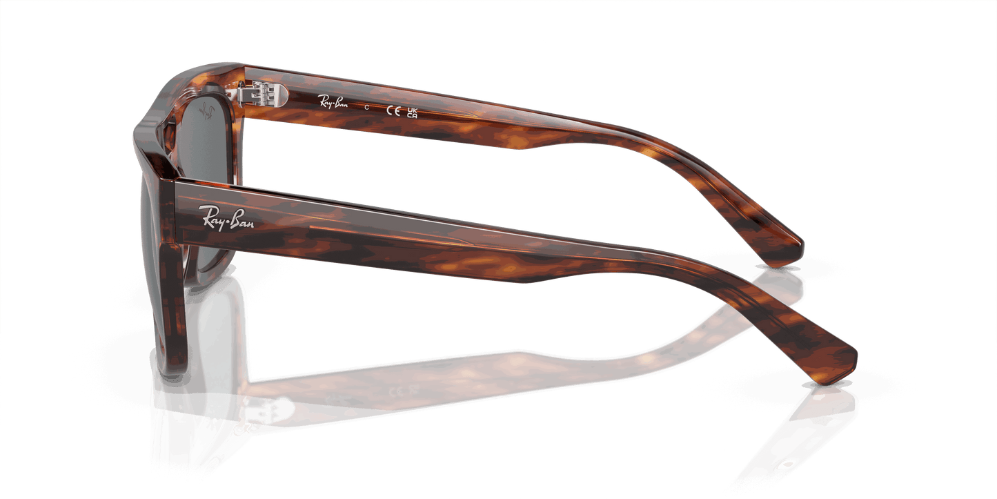 [Dark Blue Lenses, Polished Striped Havana Frame]