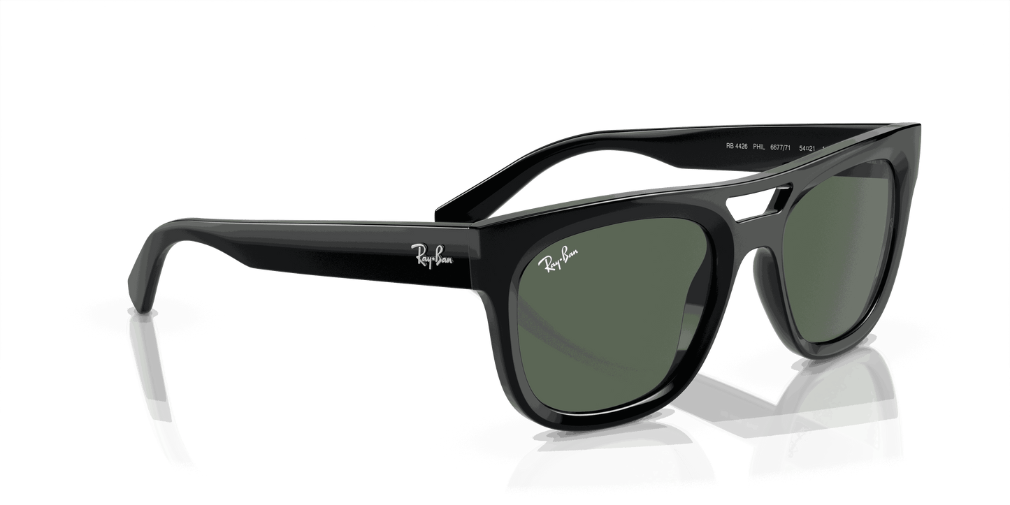 [Dark Green Lenses, Polished Black Frame]