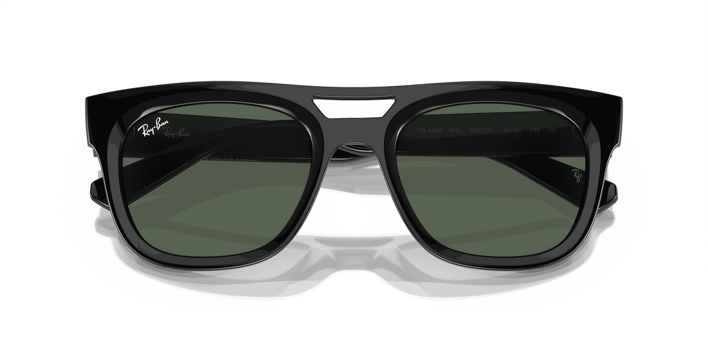 [Dark Green Lenses, Polished Black Frame]