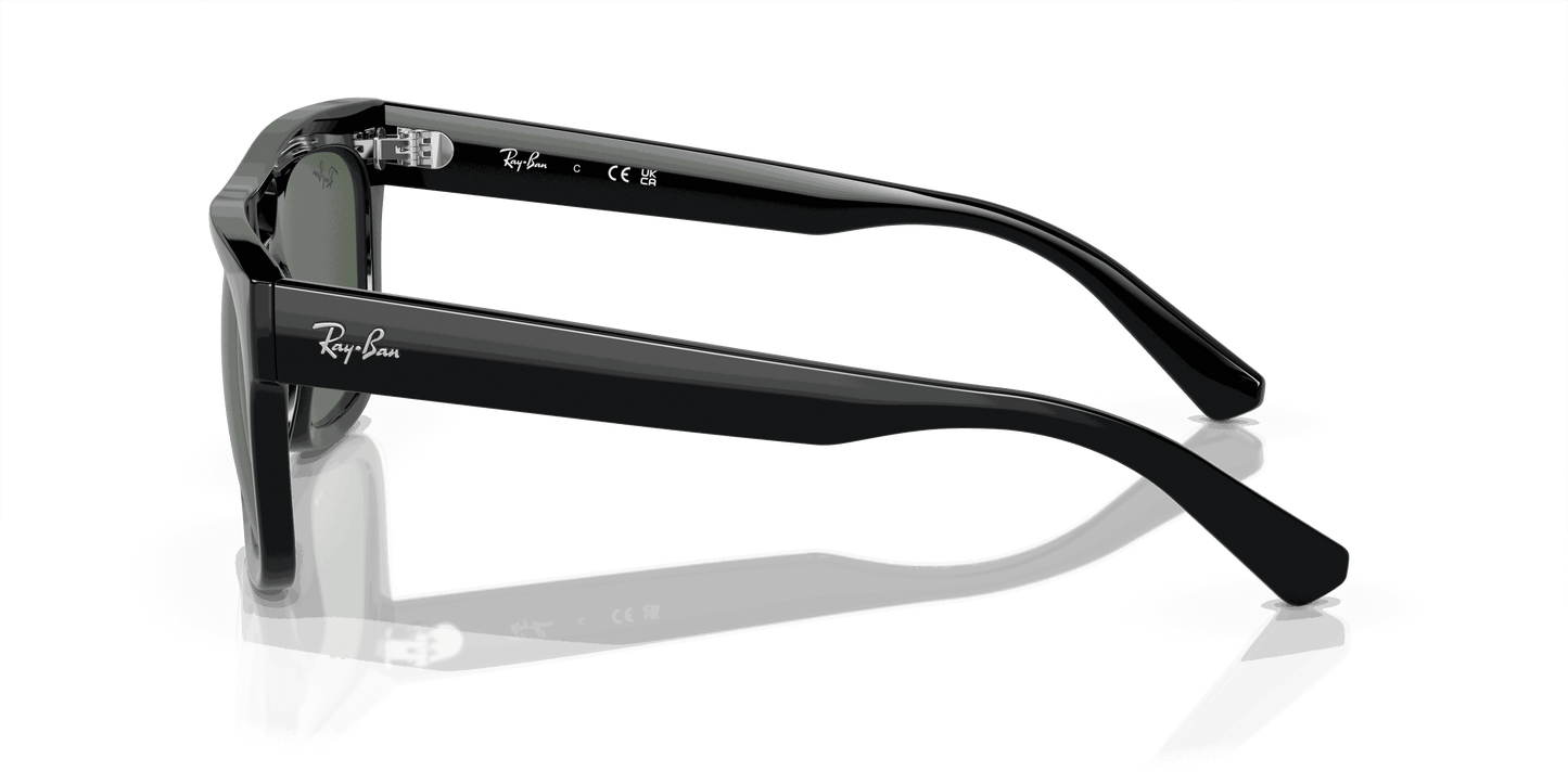 [Dark Green Lenses, Polished Black Frame]
