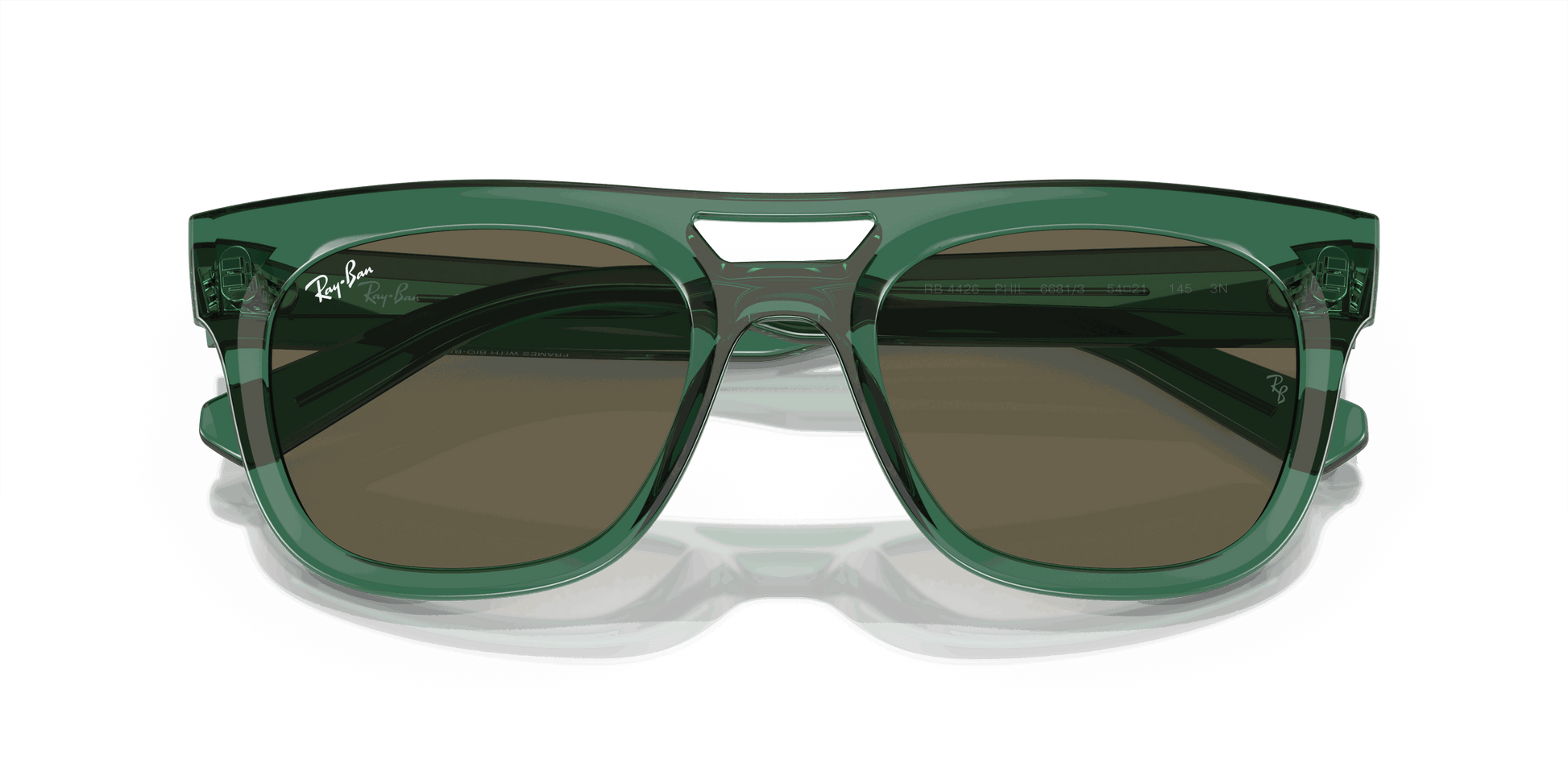 [Brown Lenses, Polished Transparent Green Frame]