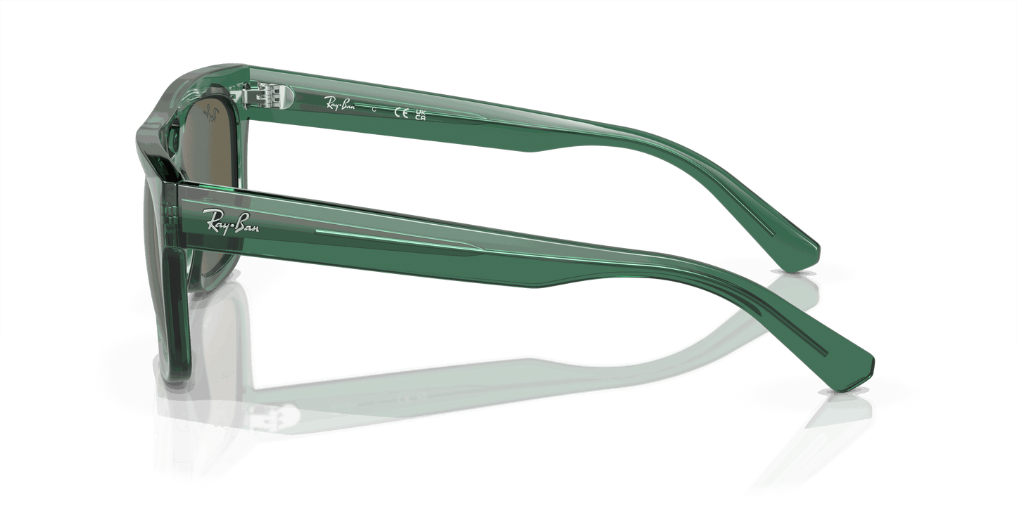 [Brown Lenses, Polished Transparent Green Frame]
