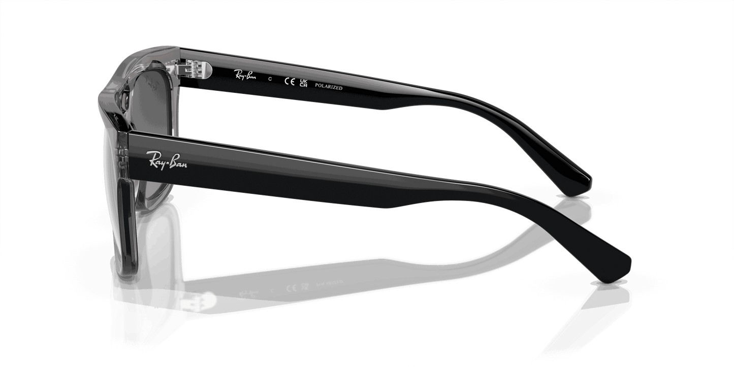 [Silver/Grey Lenses, Polished Transparent Grey Frame]
