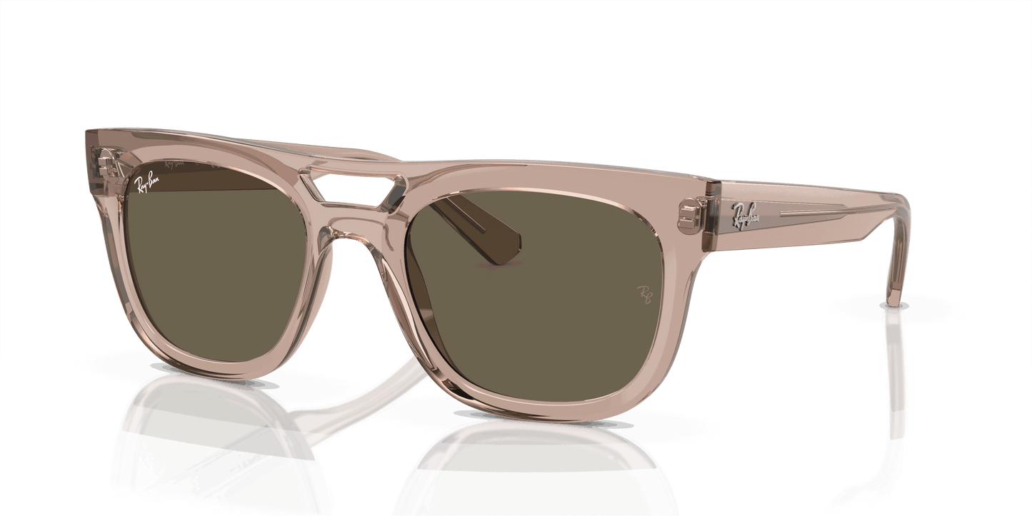 [Brown Lenses, Polished Transparent Light Brown Frame]