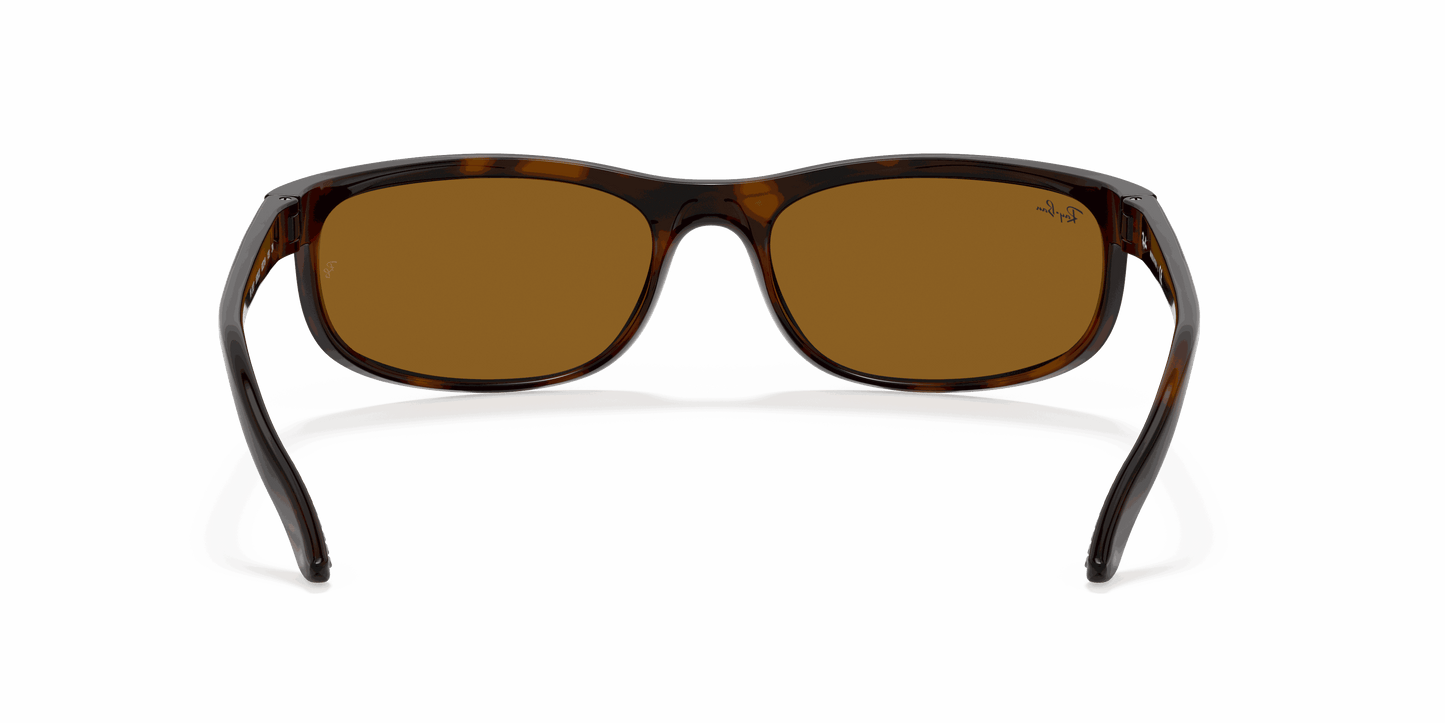 [B-15 Brown Lenses, Polished Dark Havana Frame]