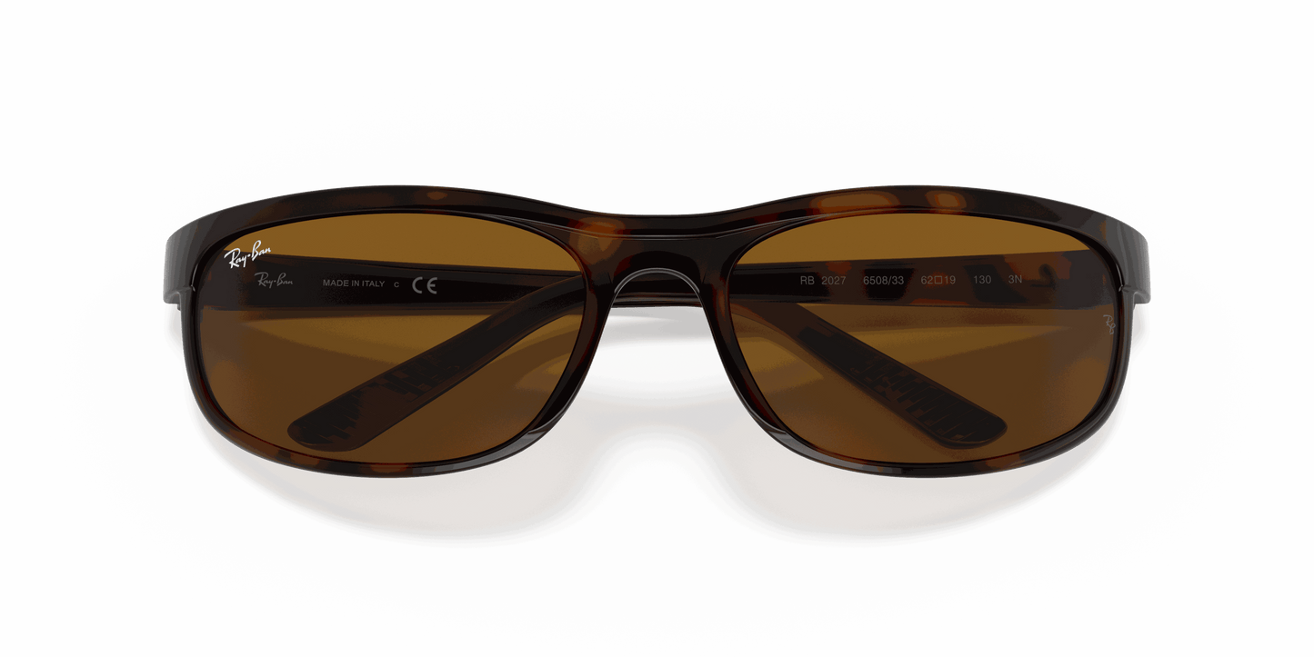 [B-15 Brown Lenses, Polished Dark Havana Frame]