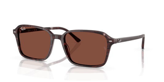 [Red Lenses, Polished Transparent Fantasy Violet & Red Frame]