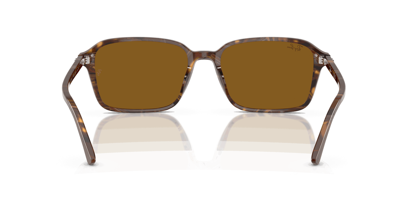 [B-15 Brown Lenses, Polished Transparent Fantasy Brown Frame]