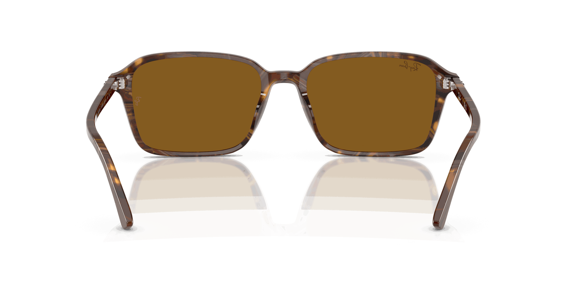 [B-15 Brown Lenses, Polished Transparent Fantasy Brown Frame]