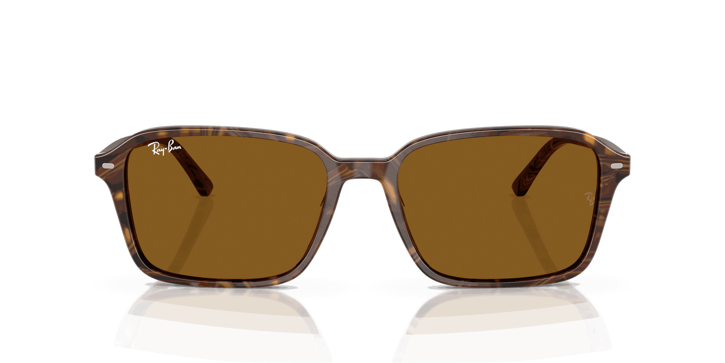 [B-15 Brown Lenses, Polished Transparent Fantasy Brown Frame]