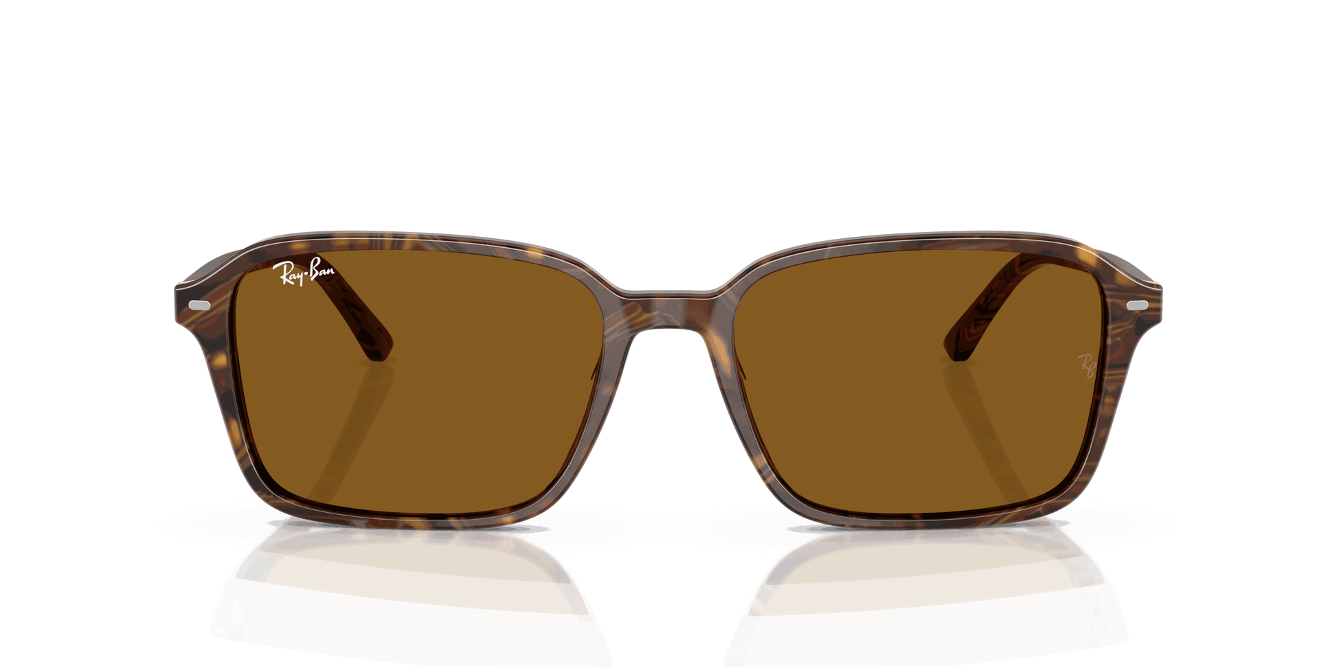 [B-15 Brown Lenses, Polished Transparent Fantasy Brown Frame]