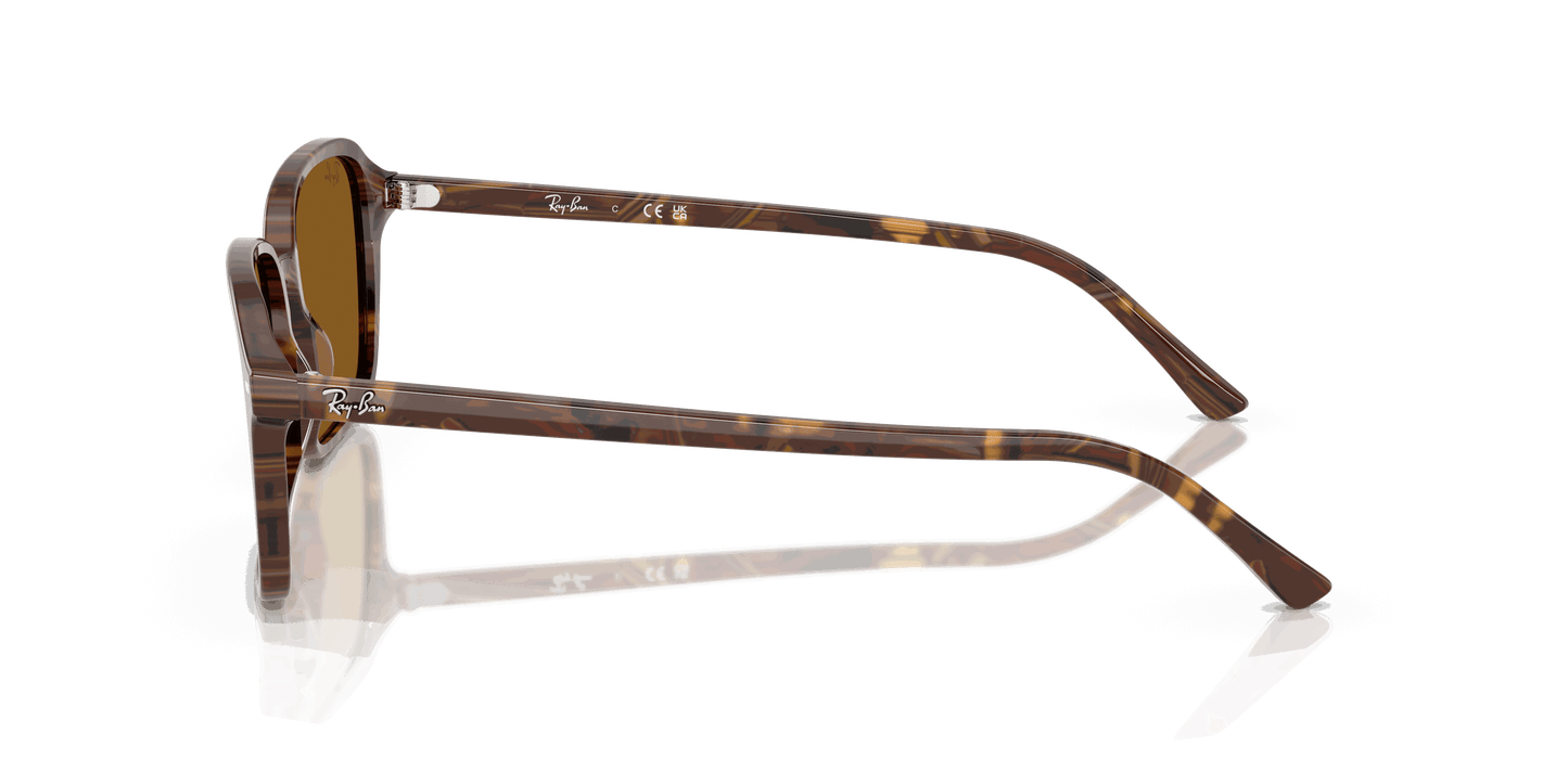 [B-15 Brown Lenses, Polished Transparent Fantasy Brown Frame]