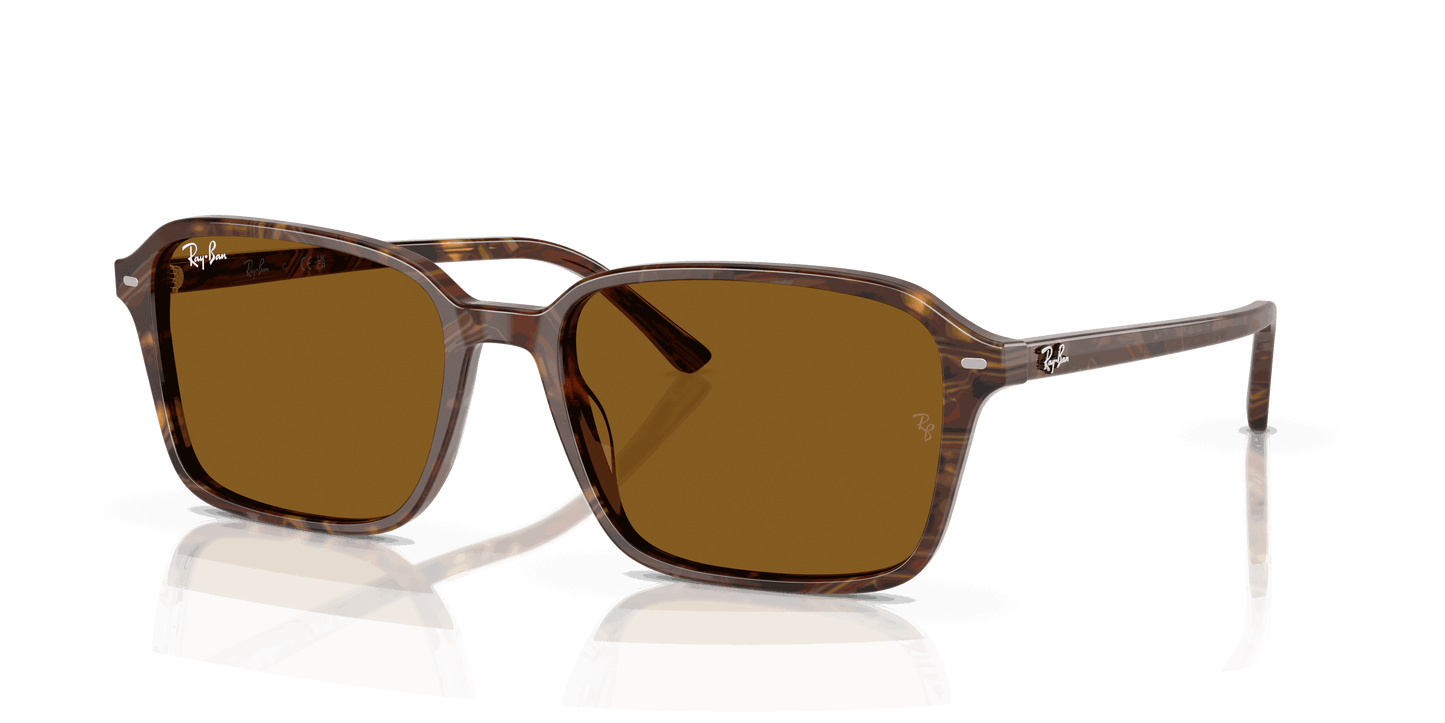 [B-15 Brown Lenses, Polished Transparent Fantasy Brown Frame]