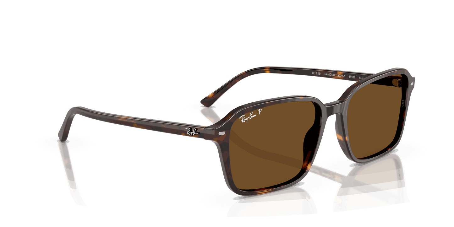 [B-15 Brown Lenses, Polished Havana Frame]