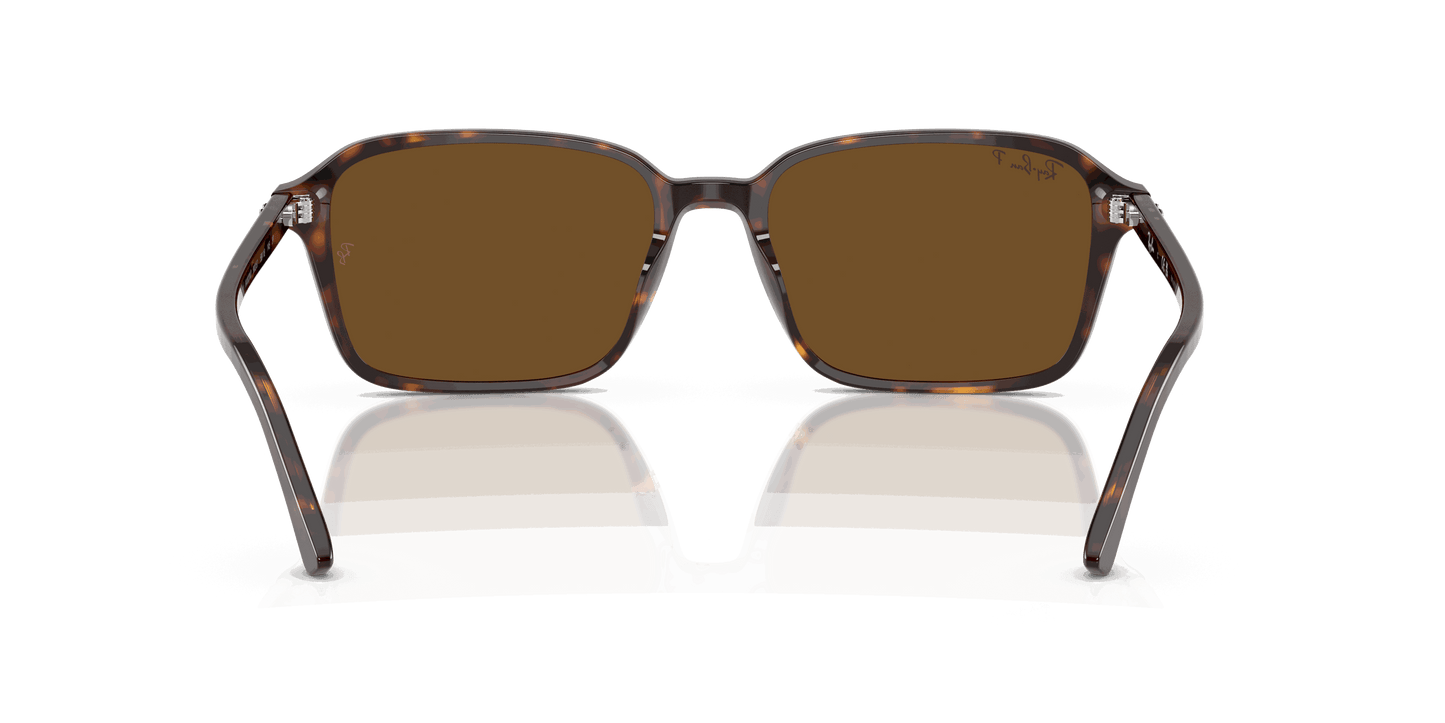 [B-15 Brown Lenses, Polished Havana Frame]