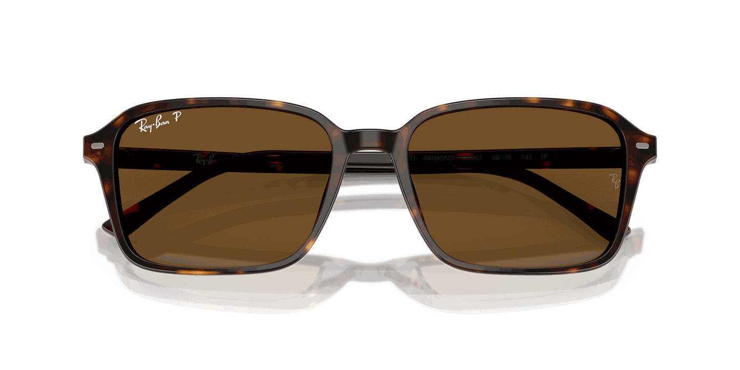 [B-15 Brown Lenses, Polished Havana Frame]
