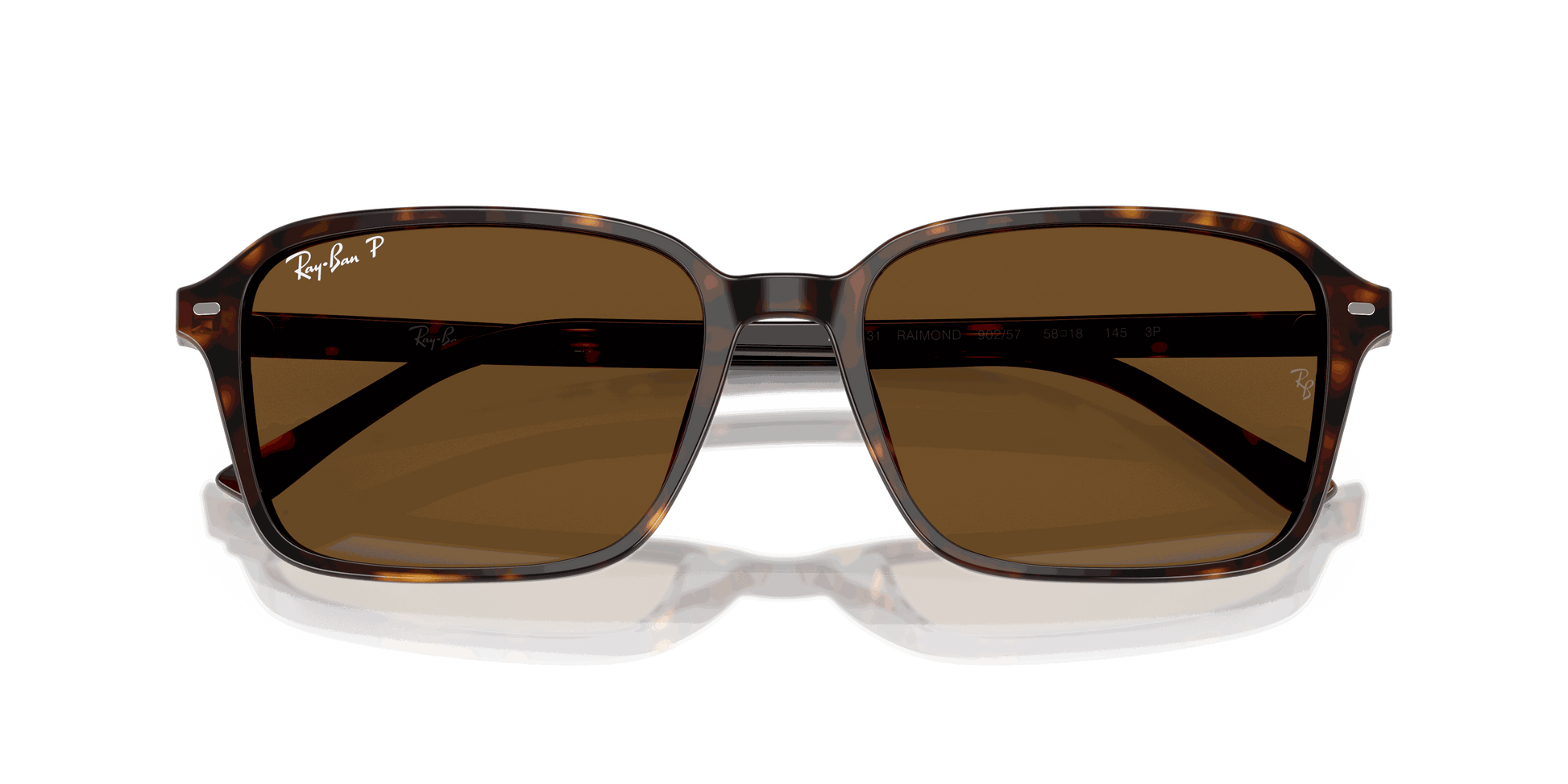 [B-15 Brown Lenses, Polished Havana Frame]