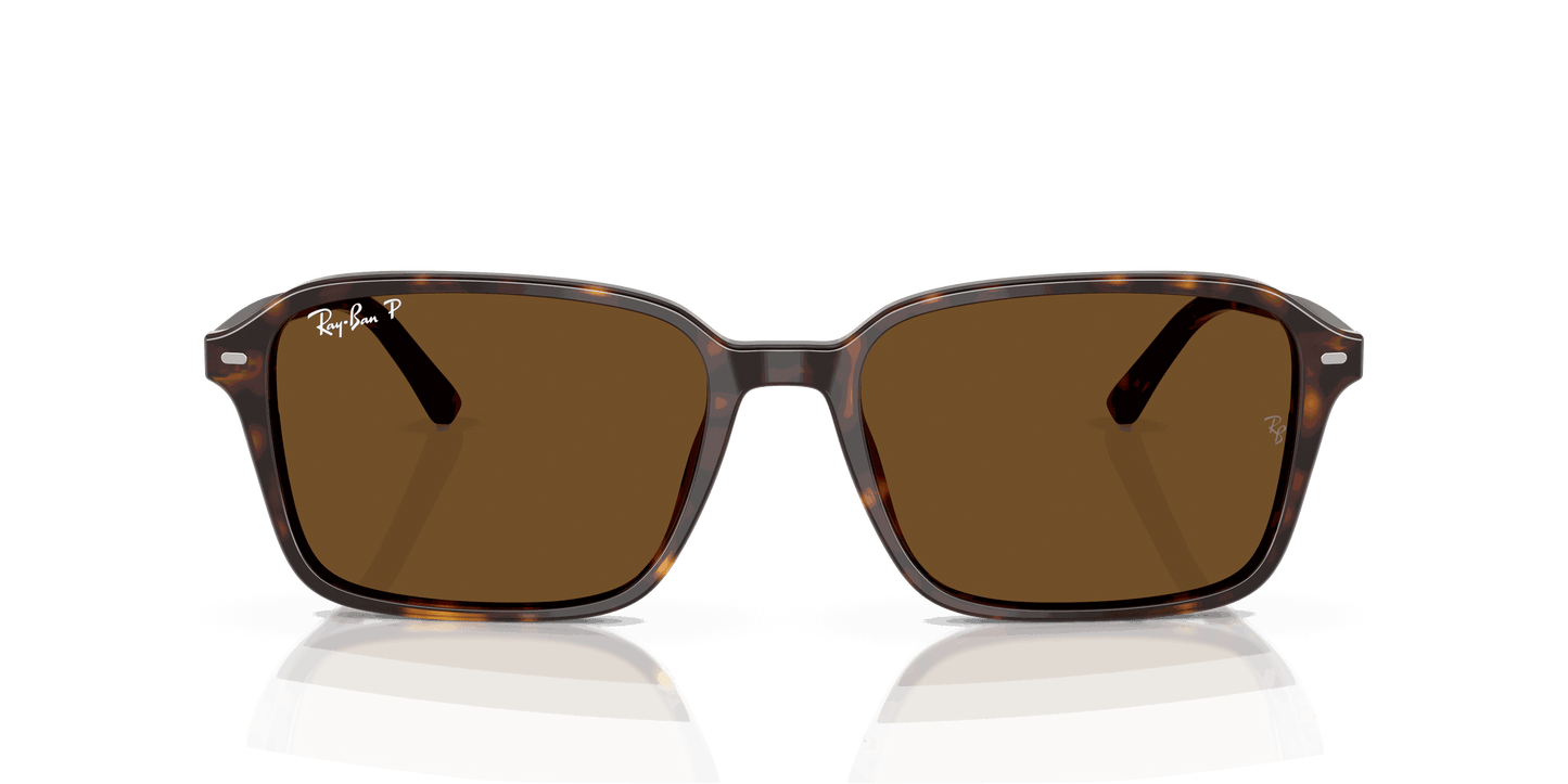 [B-15 Brown Lenses, Polished Havana Frame]