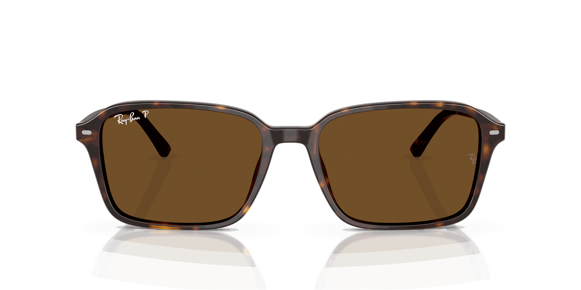 [B-15 Brown Lenses, Polished Havana Frame]