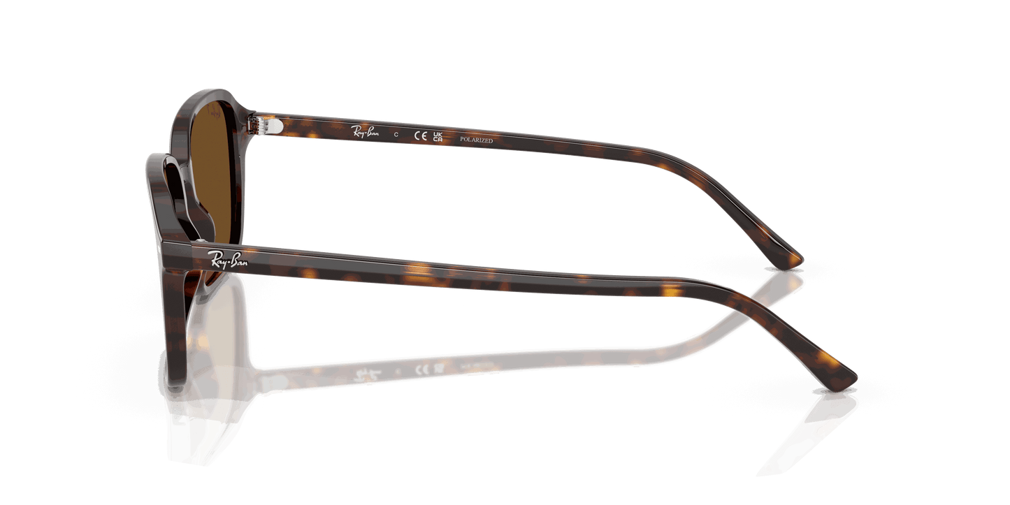[B-15 Brown Lenses, Polished Havana Frame]