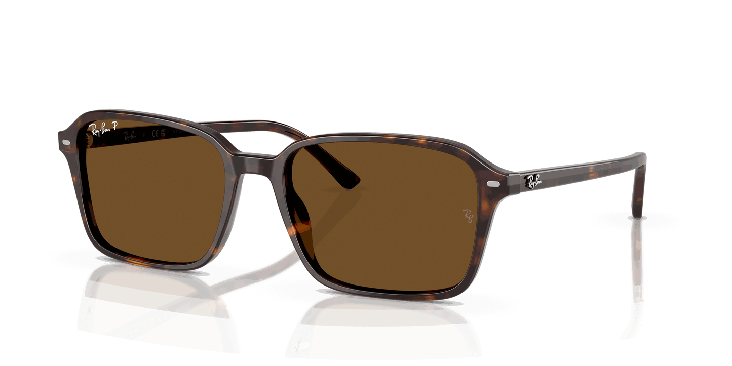 [B-15 Brown Lenses, Polished Havana Frame]