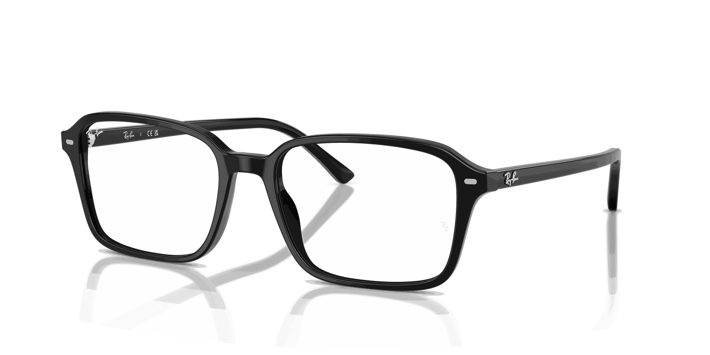 [Clear Lenses, Polished Black Frame]