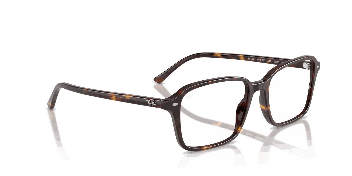 [Clear Lenses, Polished Havana Frame]