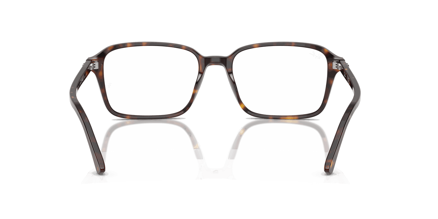[Clear Lenses, Polished Havana Frame]