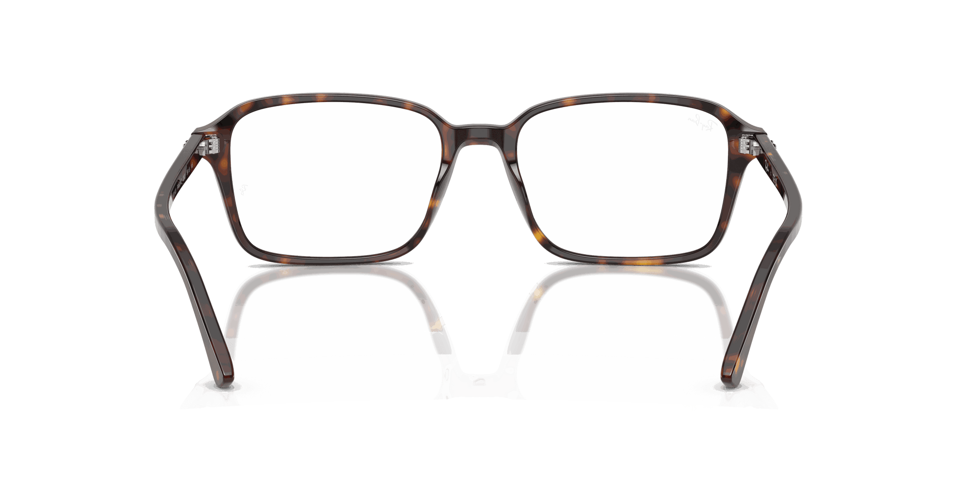 [Clear Lenses, Polished Havana Frame]