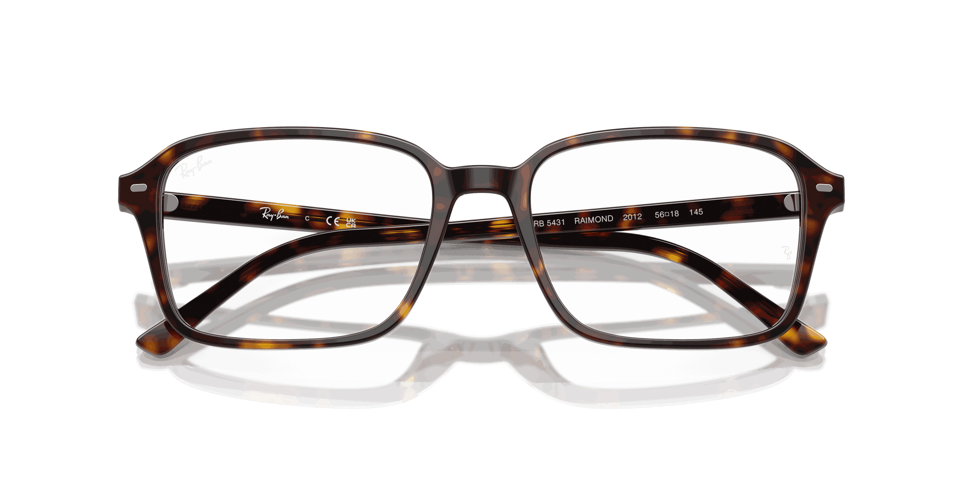 [Clear Lenses, Polished Havana Frame]