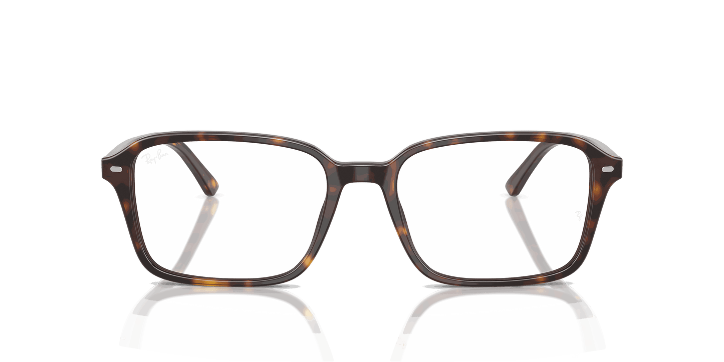 [Clear Lenses, Polished Havana Frame]